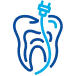 Root Canal (endodontics)
