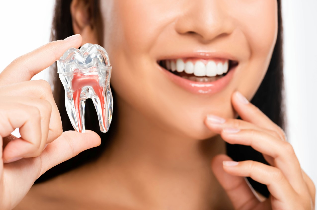 arafed woman holding a toothbrush and a tooth model